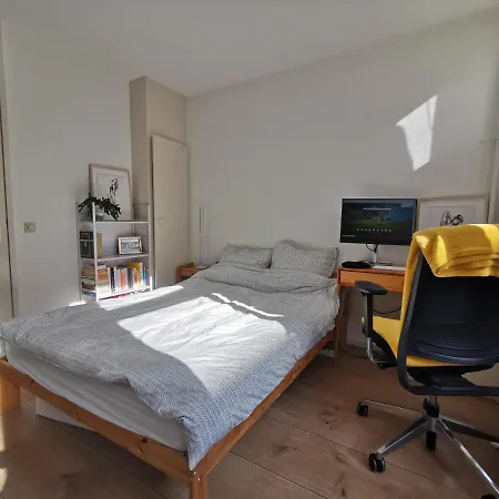 Downtown Apartament *